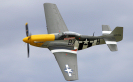 P-51 Mustang (Old Warden 2010)