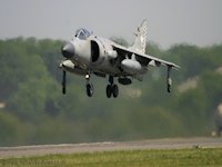 H.S. Harrier - pic by Nigel Key